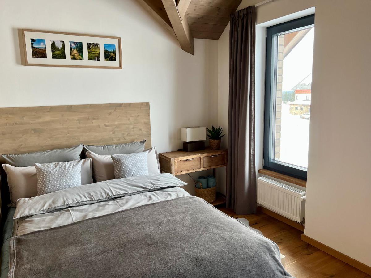 Villa Bohemia - Boží Dar Exteriér fotografie